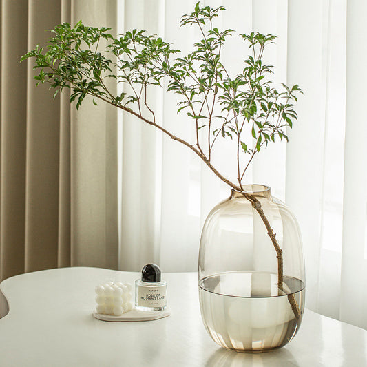 Flower Arrangement Glass Transparent Hydroponic Vase Decoration